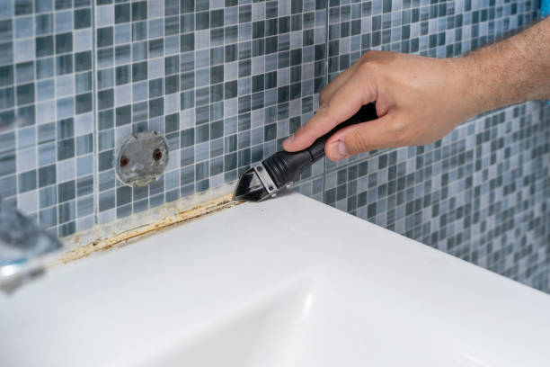 Best Basement Mold Remediation in Rogue River, OR